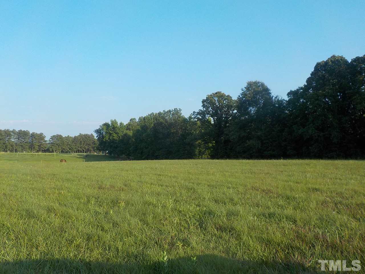 Uzzle Road Rougemont, NC 27572 - Photo 3 of 5 a view of a field of grass and trees