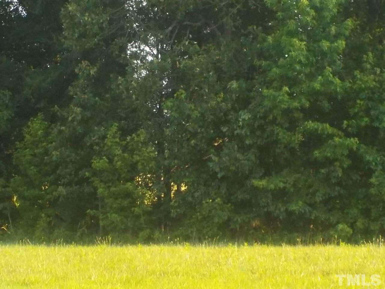 Uzzle Road Rougemont, NC 27572 - Photo 5 of 5 a view of yard from a yard