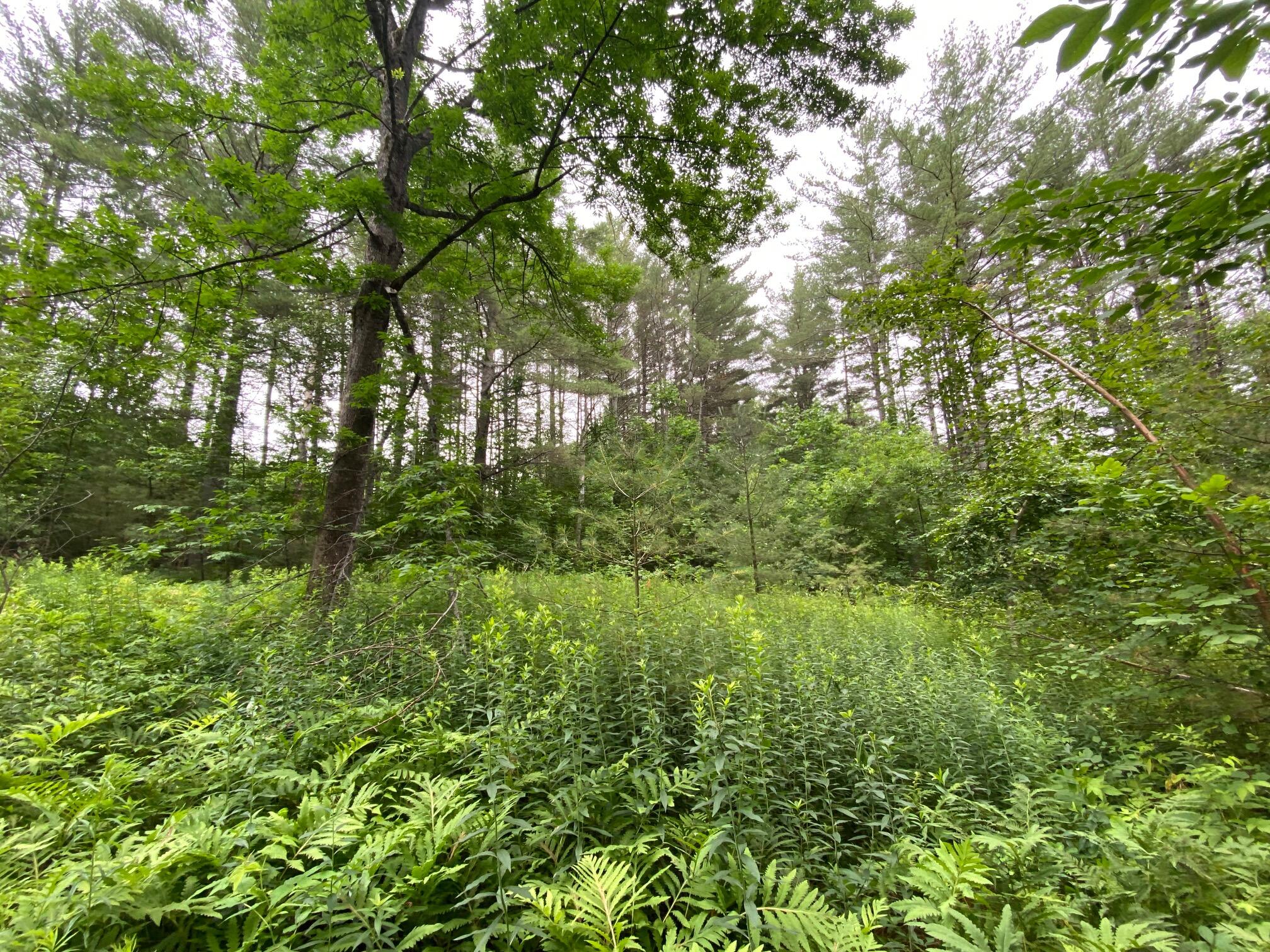 570 Center Road Garland, ME 04939 - Photo 5 of 9 6