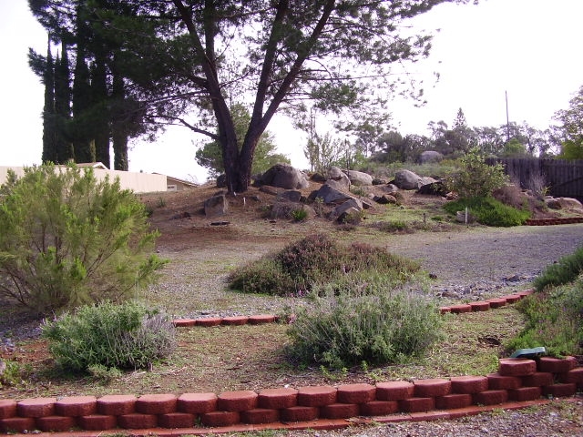 719 Lilac Ranch Road Alpine, CA 91901 - Photo 13 of 14