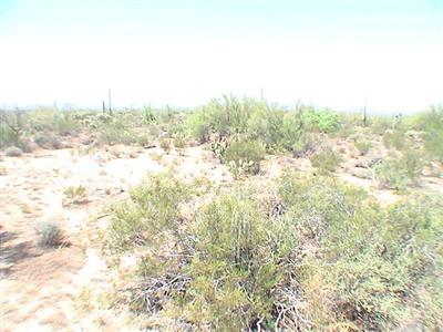 5225 North Sandario Road Tucson, AZ 85743 - Photo 5 of 5