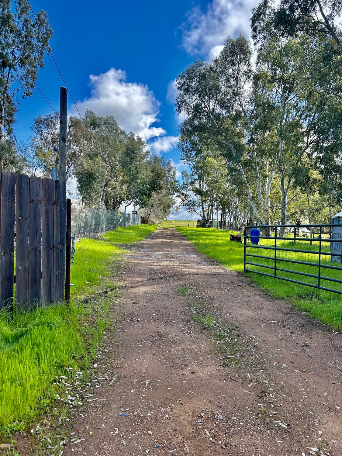 265 Lone Tree Road Oroville, CA 95965 - Photo 2 of 26