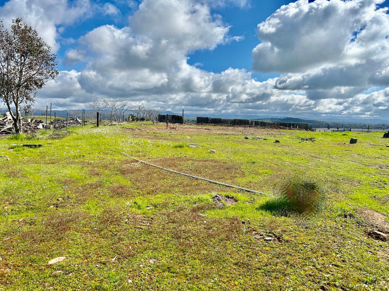 265 Lone Tree Road Oroville, CA 95965 - Photo 8 of 26