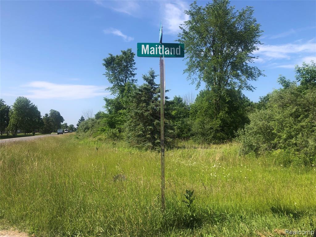 1-4 Maitland Road North Street, MI 48049 - Photo 1 of 1