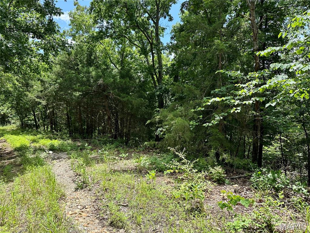 Tbd Bluebird Lane Rolla, MO 65401 - Photo 1 of 5