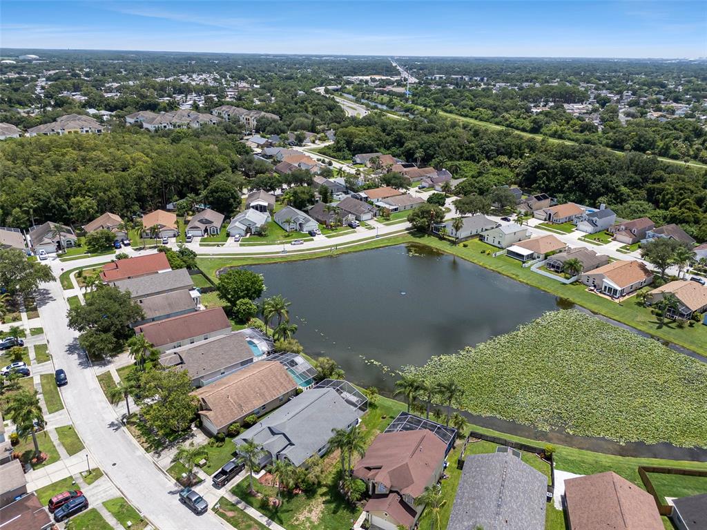 8512 Heyward Road Tampa, FL 33635 - Photo 61 of 73 Gallery Image 61