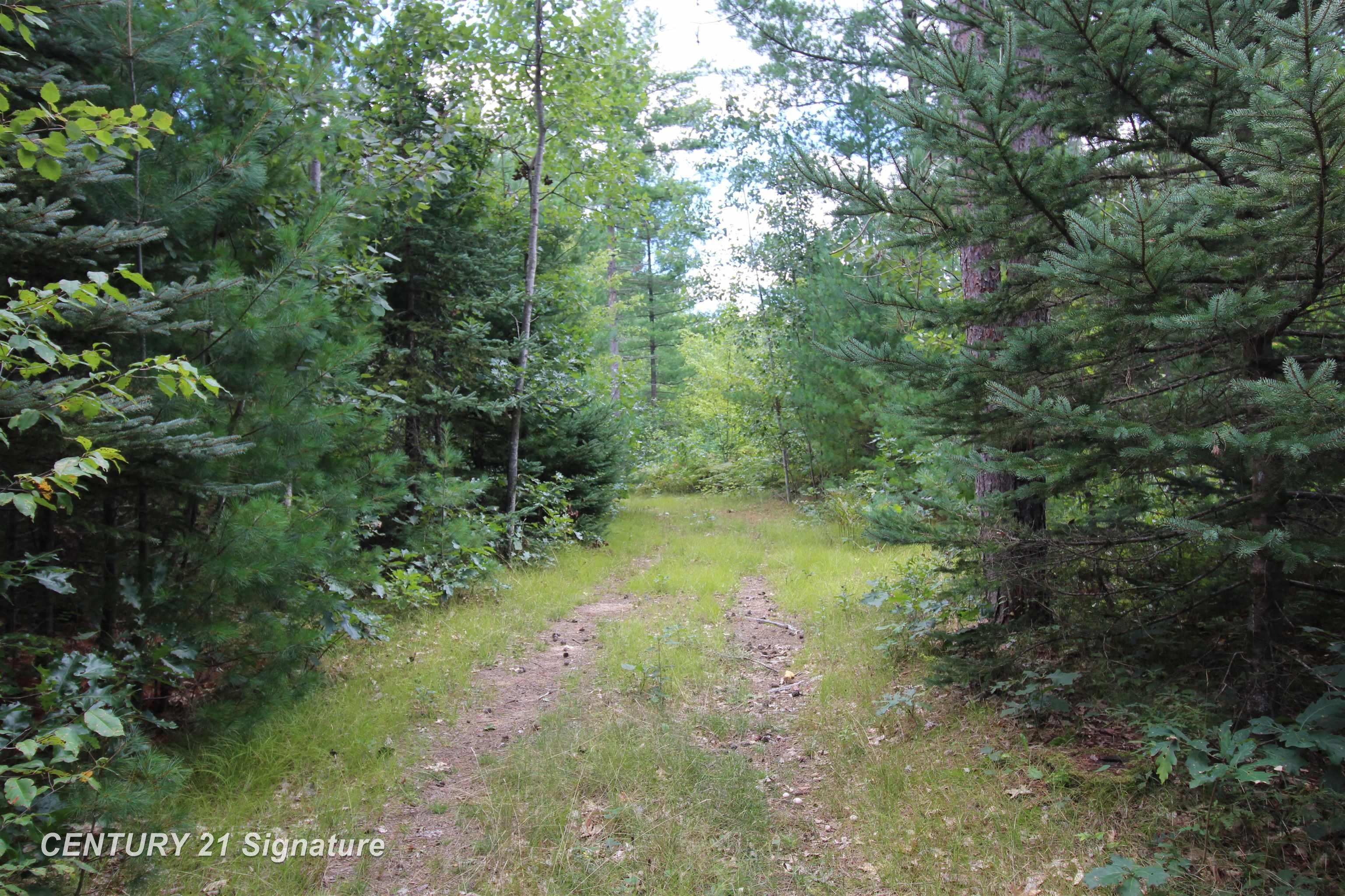 6595 Wickert Road Hale, MI 48739 - Photo 19 of 23 50221795-42aa2ea5-8ffc-4567-81a8-438ca142a69b.JPG