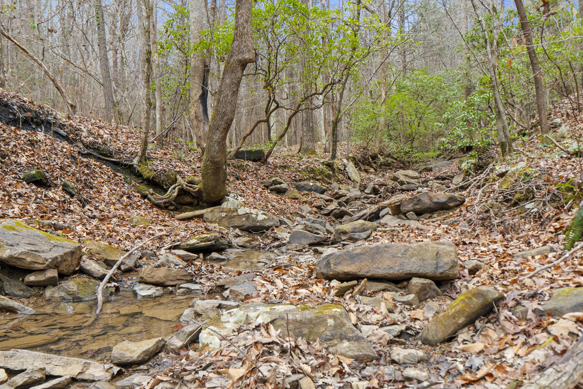 0 Retro Hughes Road Sale Creek, TN 37373 - Photo 12 of 20 dsc00381