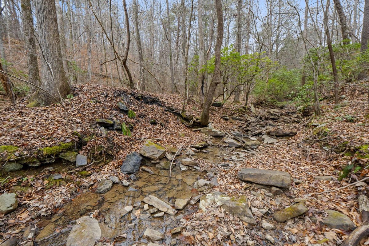 0 Retro Hughes Road Sale Creek, TN 37373 - Photo 13 of 20 dsc00384
