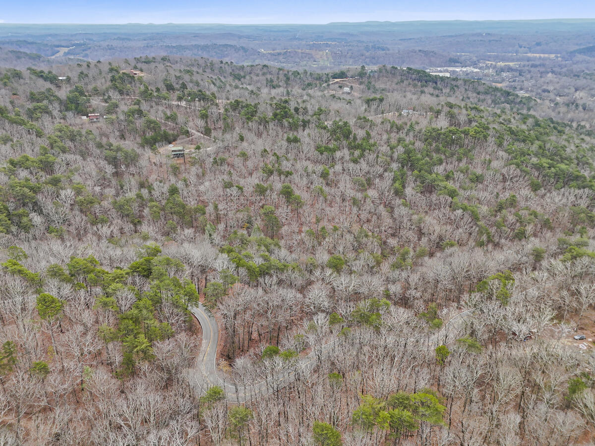0 Retro Hughes Road Sale Creek, TN 37373 - Photo 14 of 20 dji_20251205022812_0502_d
