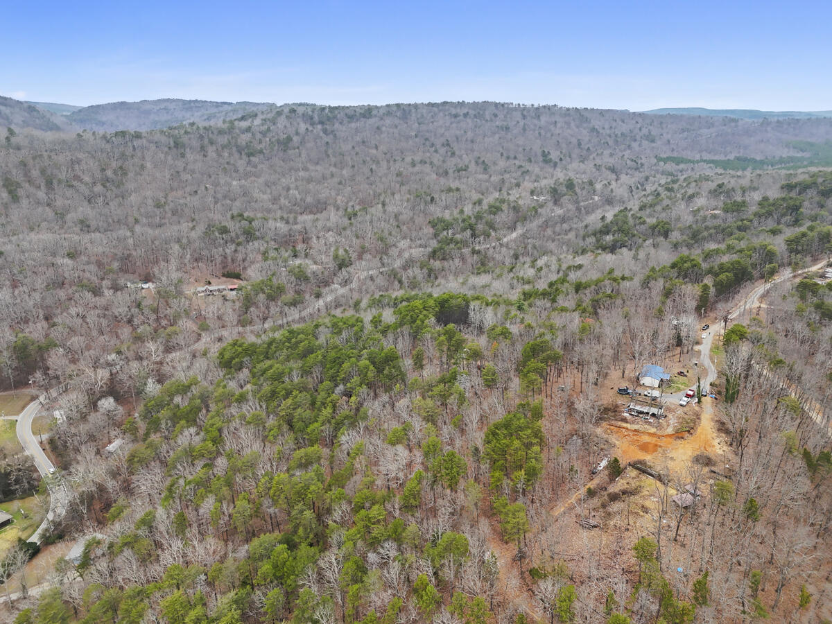0 Retro Hughes Road Sale Creek, TN 37373 - Photo 16 of 20 dji_20251205022509_0487_d