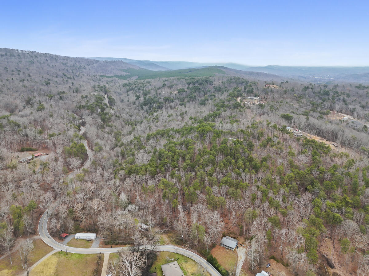 0 Retro Hughes Road Sale Creek, TN 37373 - Photo 17 of 20 dji_20251205022603_0492_d