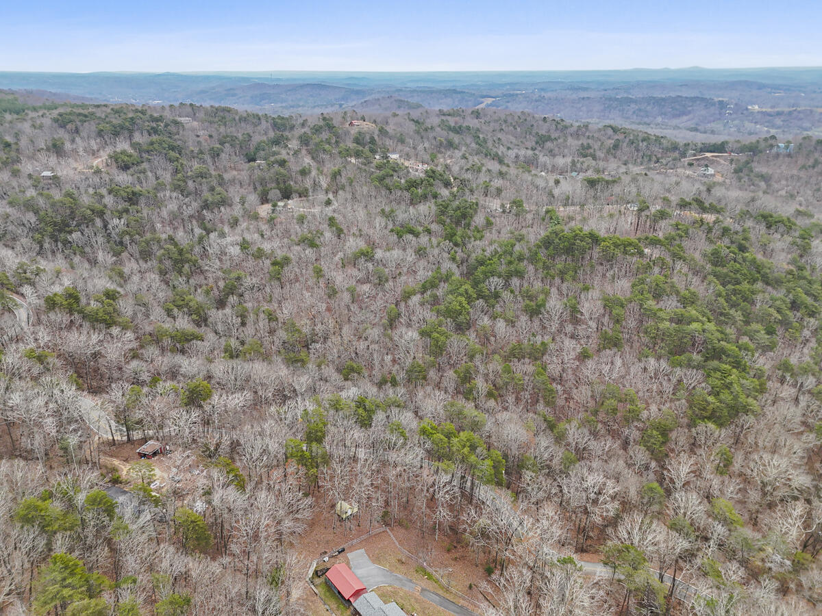 0 Retro Hughes Road Sale Creek, TN 37373 - Photo 18 of 20 dji_20251205022725_0497_d
