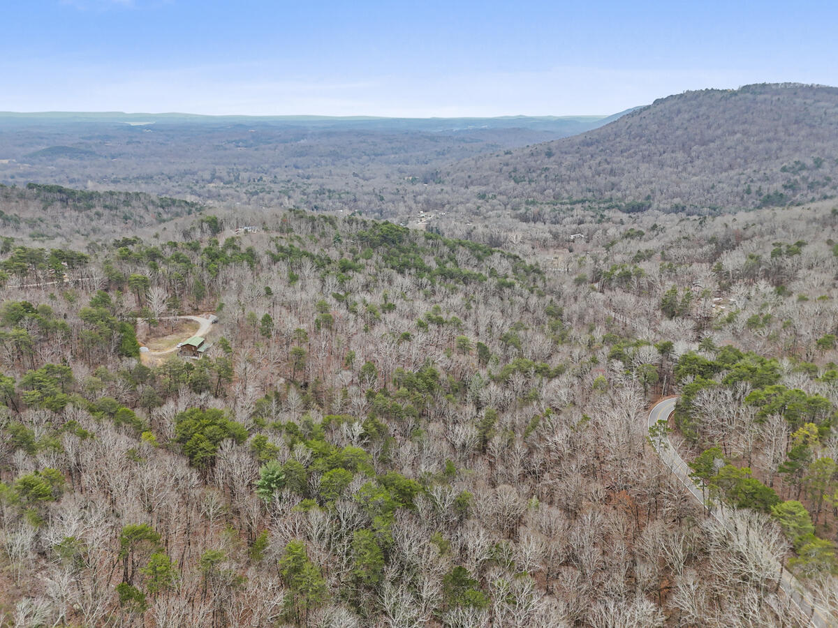 0 Retro Hughes Road Sale Creek, TN 37373 - Photo 19 of 20 dji_20251205022916_0507_d