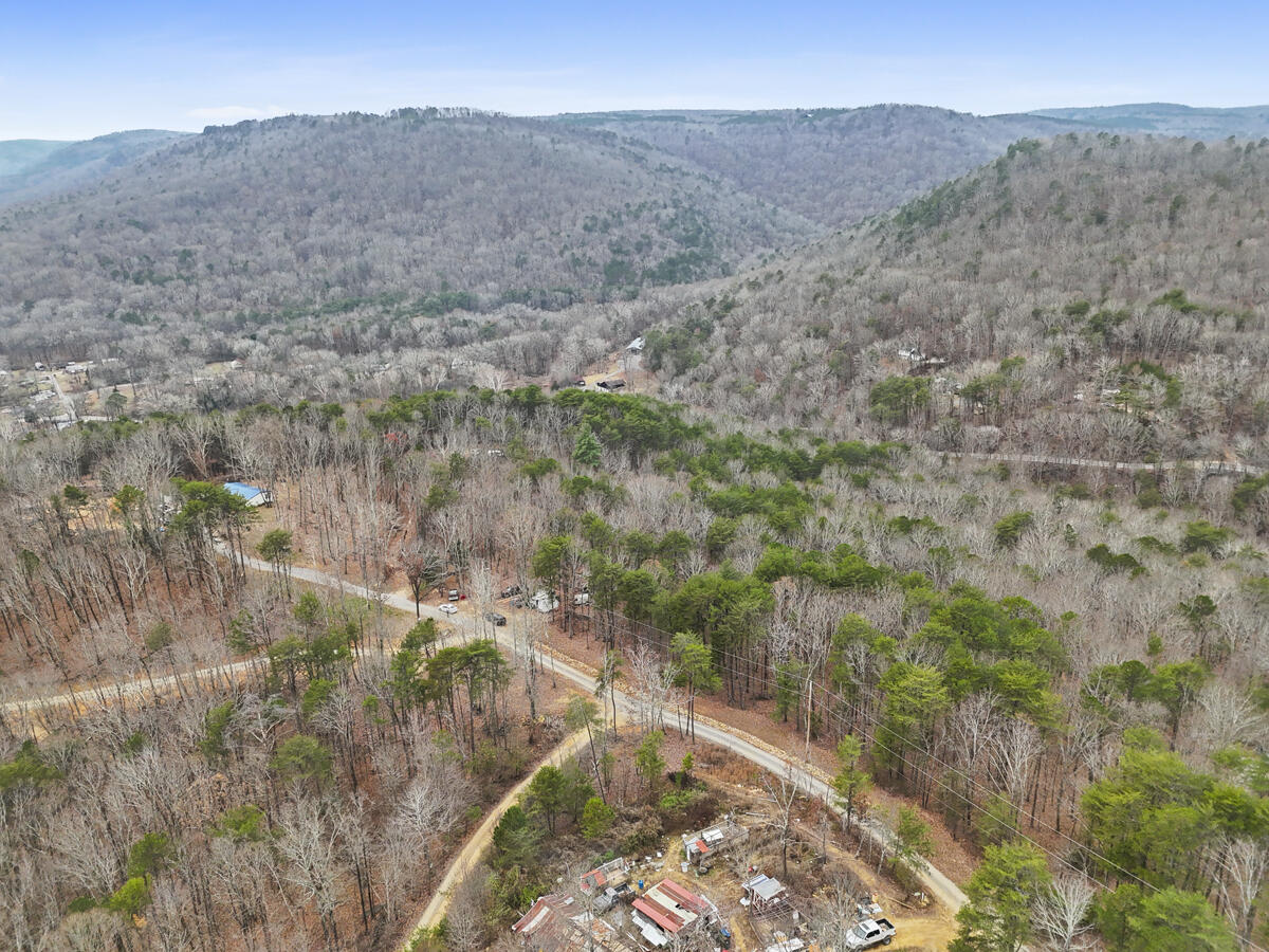 0 Retro Hughes Road Sale Creek, TN 37373 - Photo 20 of 20 dji_20251205023108_0517_d