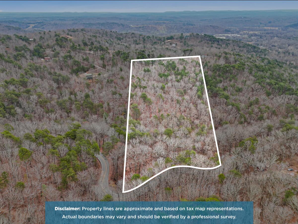 0 Retro Hughes Road Sale Creek, TN 37373 - Photo 2 of 20 Property-Lines