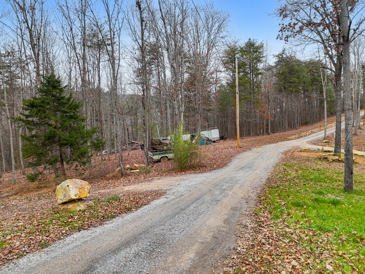 0 Retro Hughes Road Sale Creek, TN 37373 - Photo 8 of 20 dji_20251205022045_0453_d