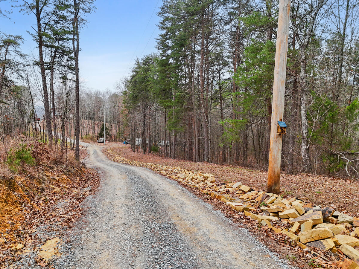 0 Retro Hughes Road Sale Creek, TN 37373 - Photo 9 of 20 dji_20251205022123_0457_d
