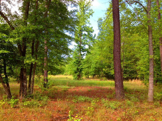 Tract C Township Road Aiken, SC 29803 - Photo 2 of 10
