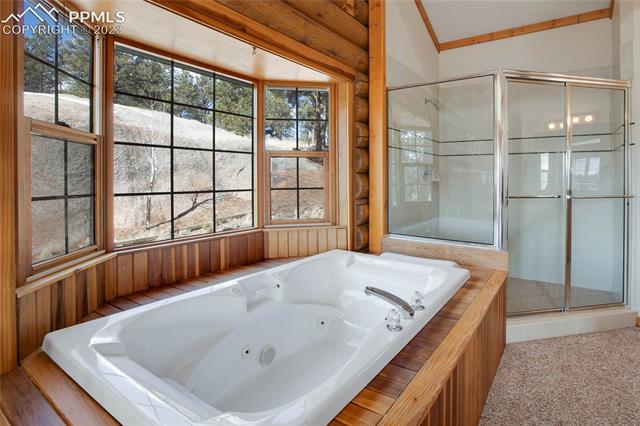 875 Old Ranch Road Florissant, CO 80816 - Photo 21 of 33
