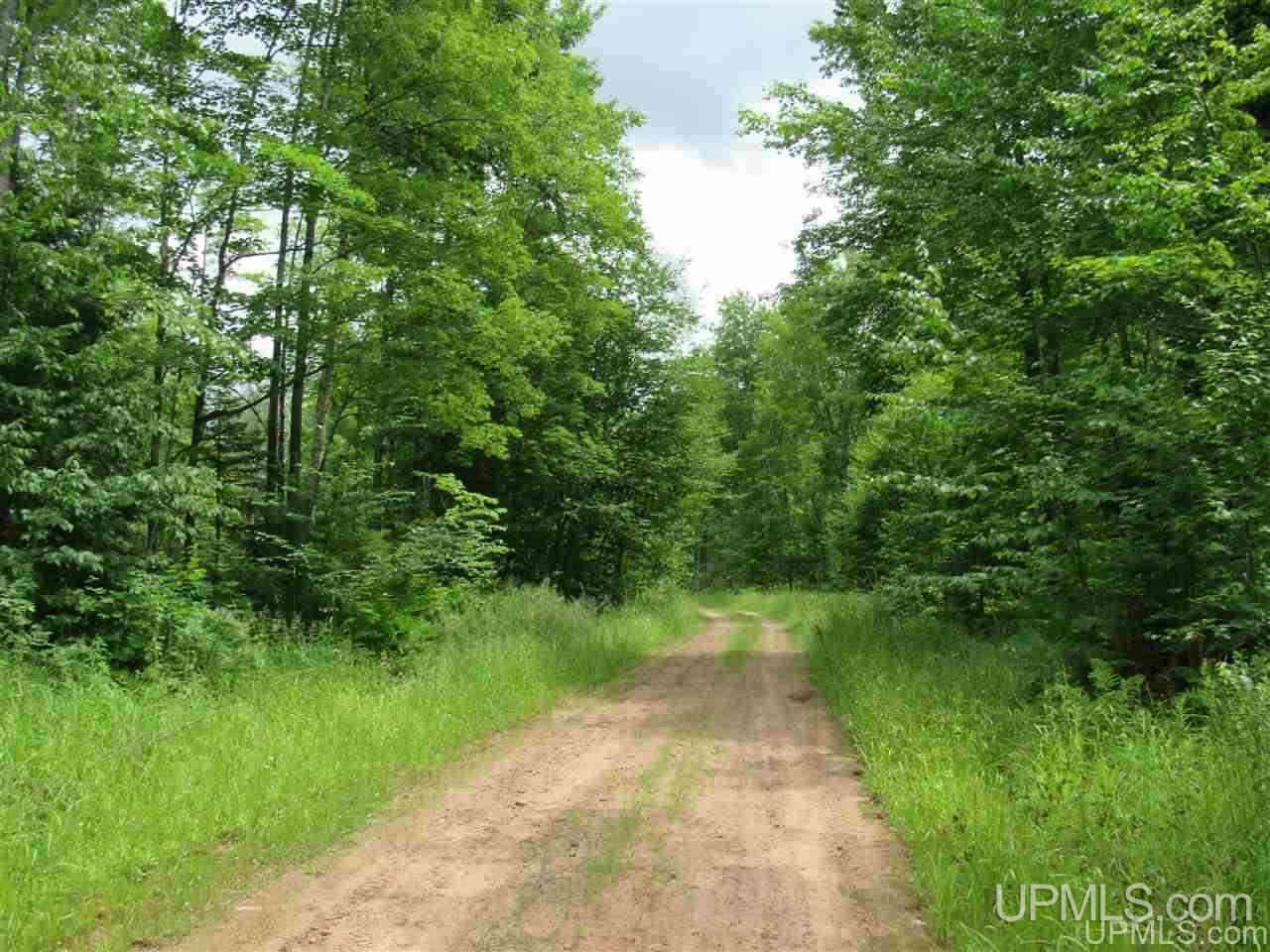 120 A Donken-tapiola Road Hancock, MI 49931 - Photo 1 of 14