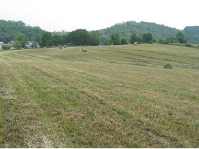 Lot 7 Hales Chapel Road Gray, TN 37615 - Photo 1 of 1 Photo 1