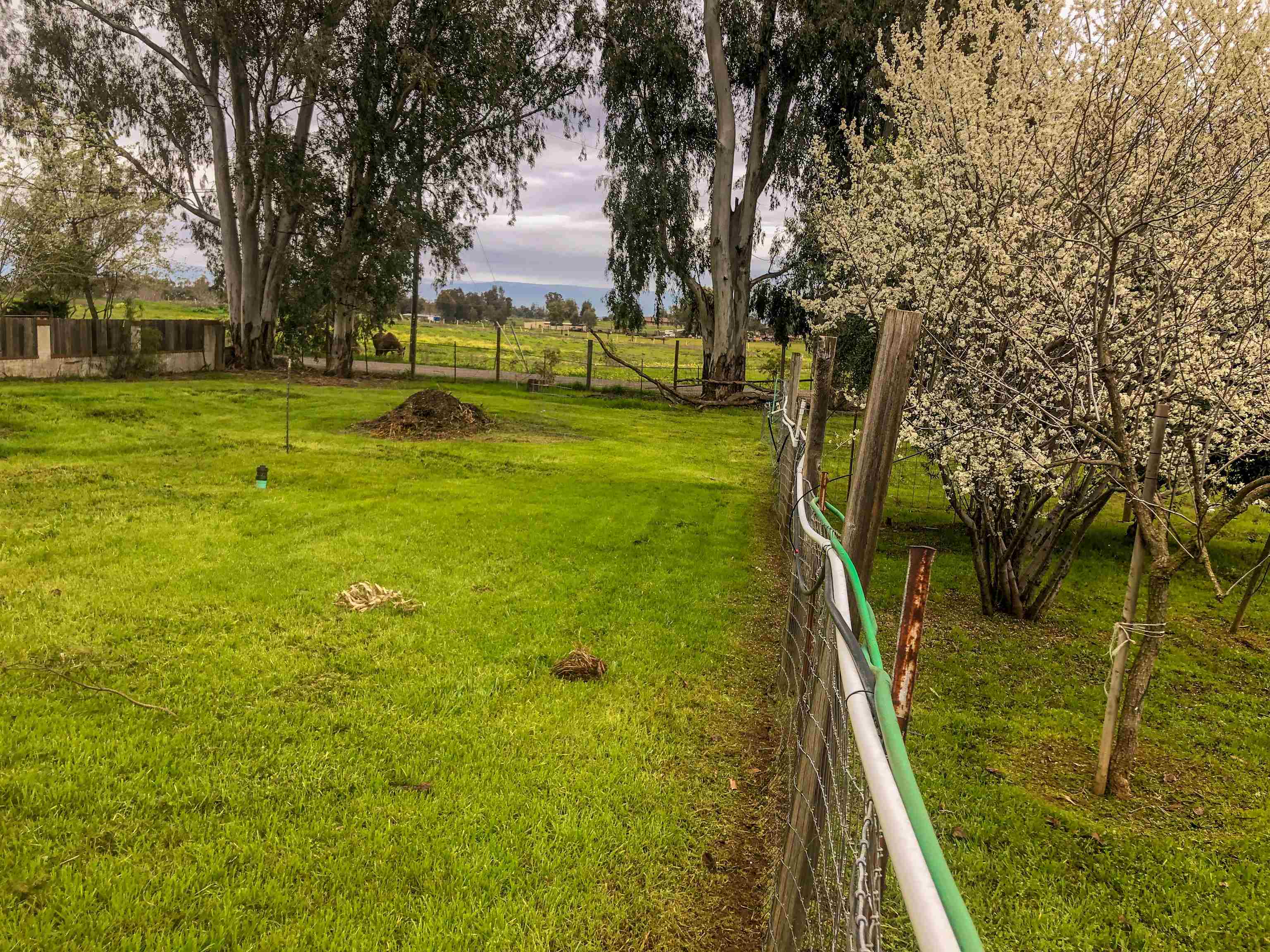 23848 Hoag Road Corning, CA 96021 - Photo 46 of 73