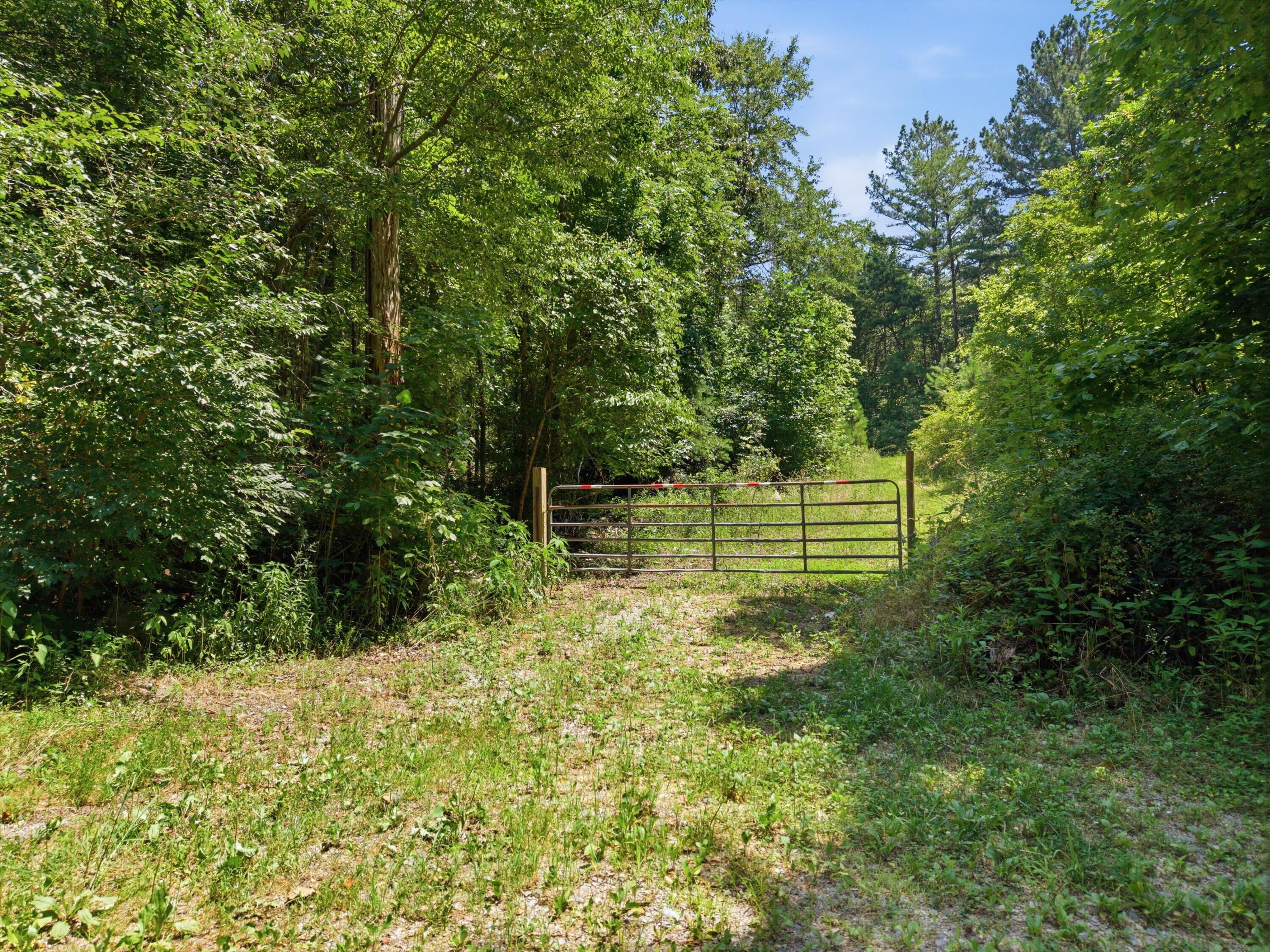 0 West Francis Spring Road Whitwell, TN 37397 - Photo 15 of 23 16-FrancisSpringRd-14