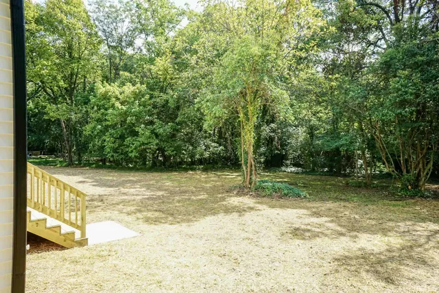 a view of a yard with a tree