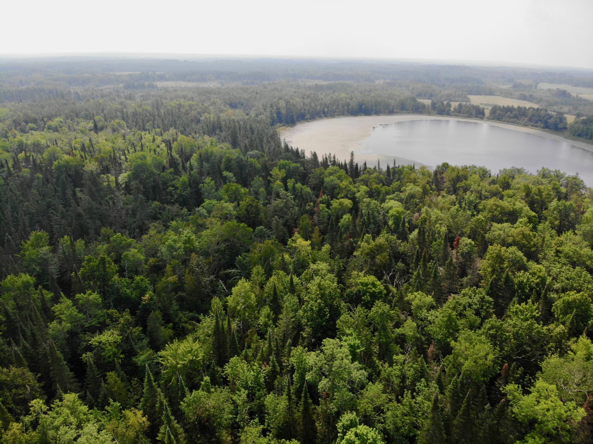 44192 Pioneer Road Sturgeon Lake, MN 55783 - Photo 1 of 1 Gallery Image 1