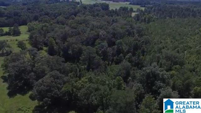 1854 Claud Fleahop Road, Unit 129 4 Eclectic, AL 36024 - Photo 31 of 50