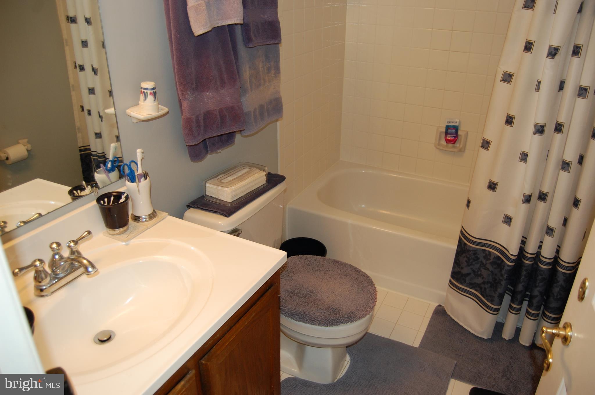 306 Crescendo Way Silver Spring, MD 20901 - Photo 13 of 18 Bath
