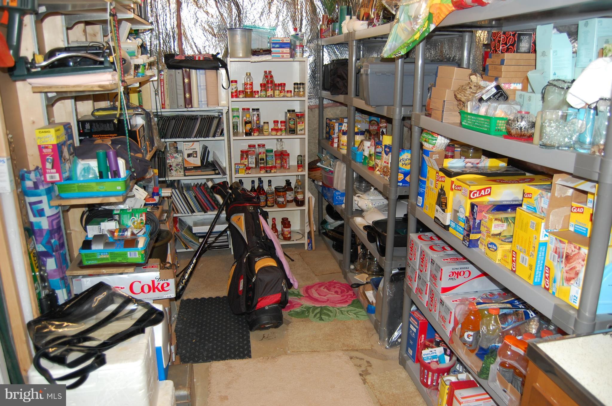 306 Crescendo Way Silver Spring, MD 20901 - Photo 17 of 18 Great storage in basement