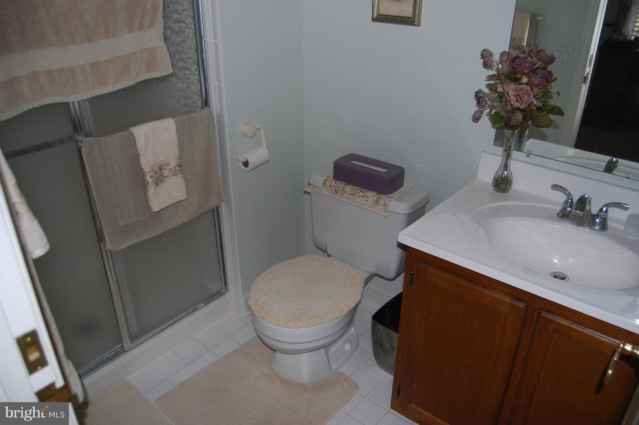 306 Crescendo Way Silver Spring, MD 20901 - Photo 10 of 18 Bath (Master)