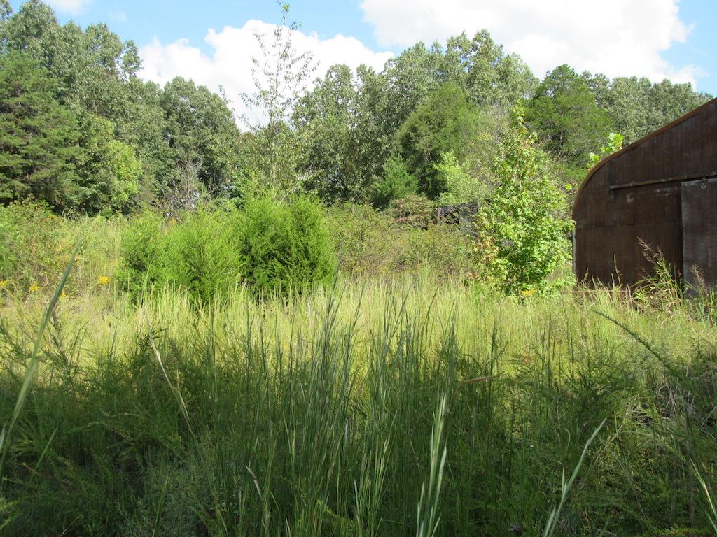 138 Ward Cemetery Road Linden, TN 37096 - Photo 7 of 29 Gallery Image 7