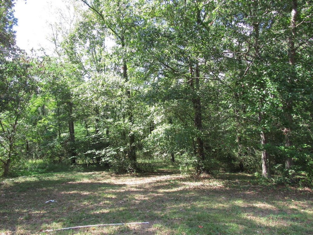 138 Ward Cemetery Road Linden, TN 37096 - Photo 9 of 29 Gallery Image 9