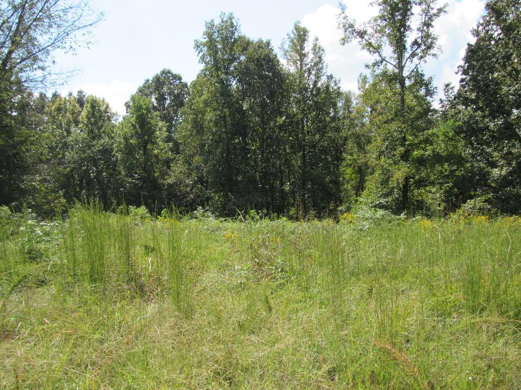 138 Ward Cemetery Road Linden, TN 37096 - Photo 10 of 29 Gallery Image 10
