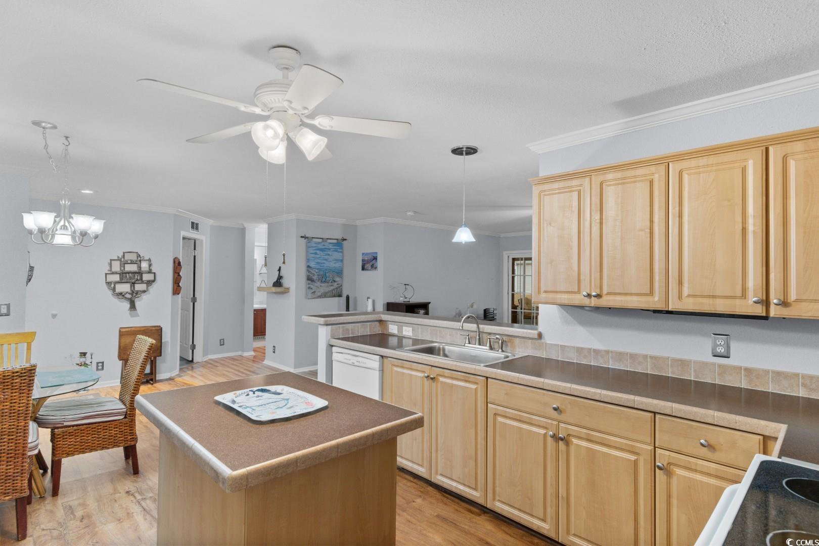 240 Wellspring Drive Conway, SC 29526 - Photo 6 of 36