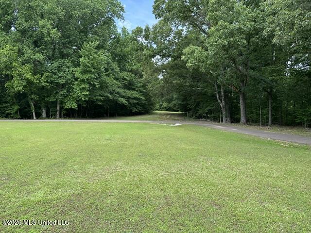 9210 Highway 315 Como, MS 38619 - Photo 2 of 10 IMG_2797 (1)