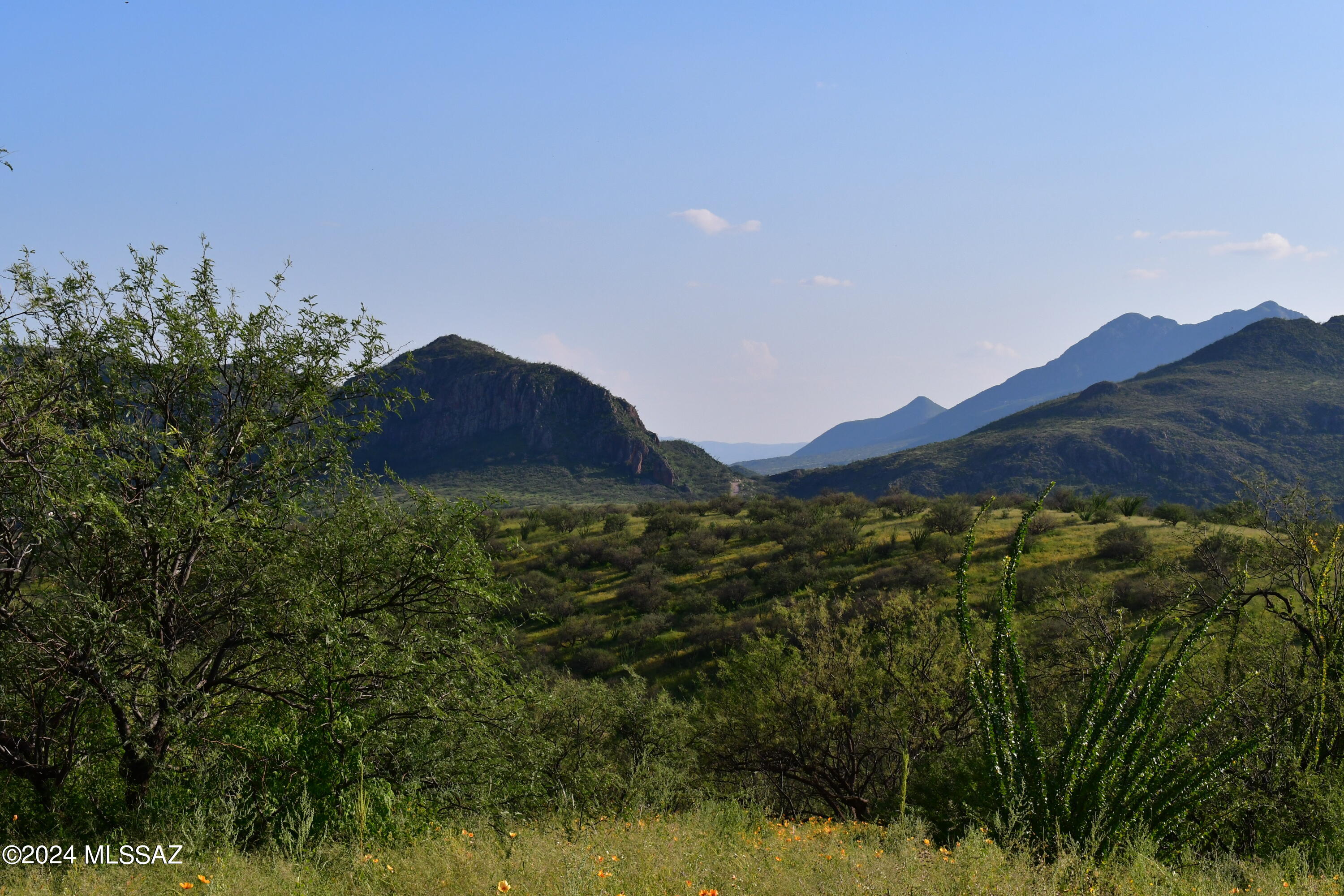 0 Poorwill Canyon Road, Unit 9 Rio Rico, AZ 85648 - Photo 10 of 25