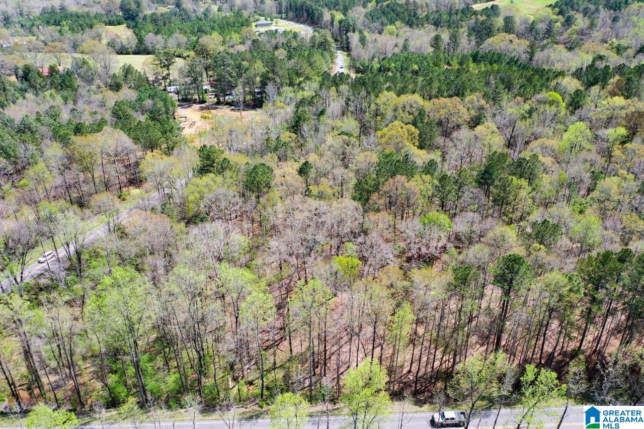 0 County Road 15 Locust Fork, AL 35097 - Photo 4 of 14