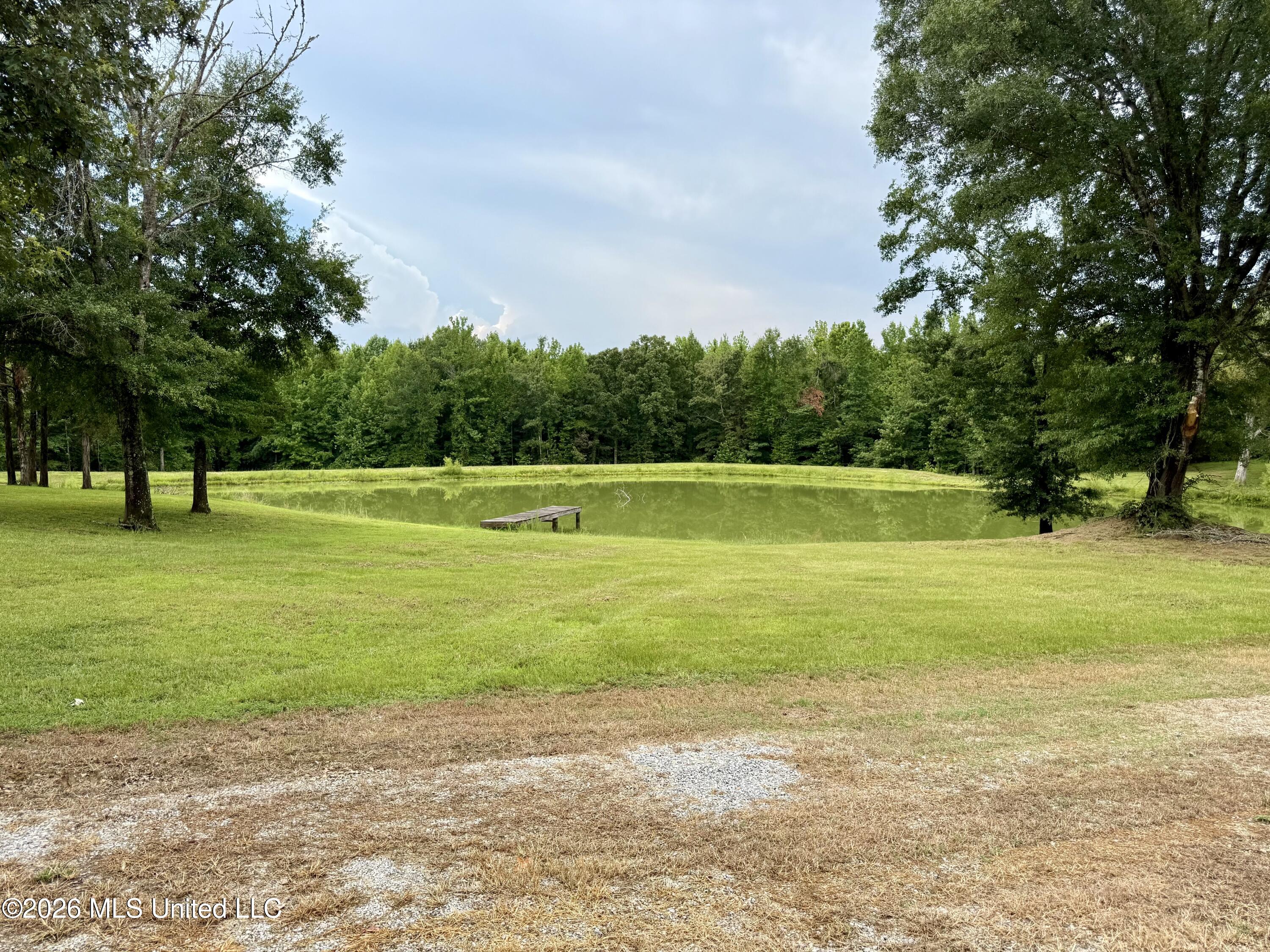 568 Smith-Bailey Road Durant, MS 39063 - Photo 24 of 81 Photo Jul 02 2026, 3 01 48 PM
