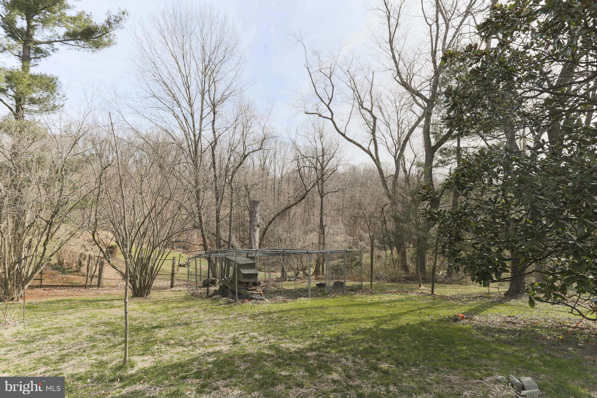 403 Gun Road Baltimore, MD 21227 - Photo 27 of 29 Watch the Seasons Come and Go