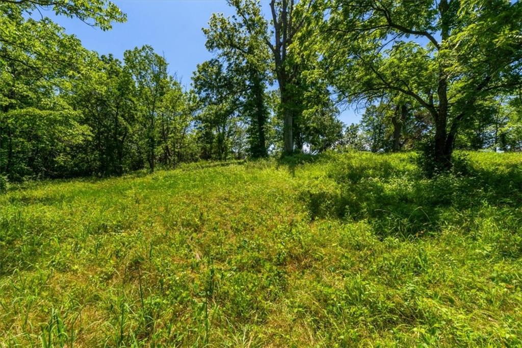 22112 East Eureka Road Independence, MO 64057 - Photo 8 of 18