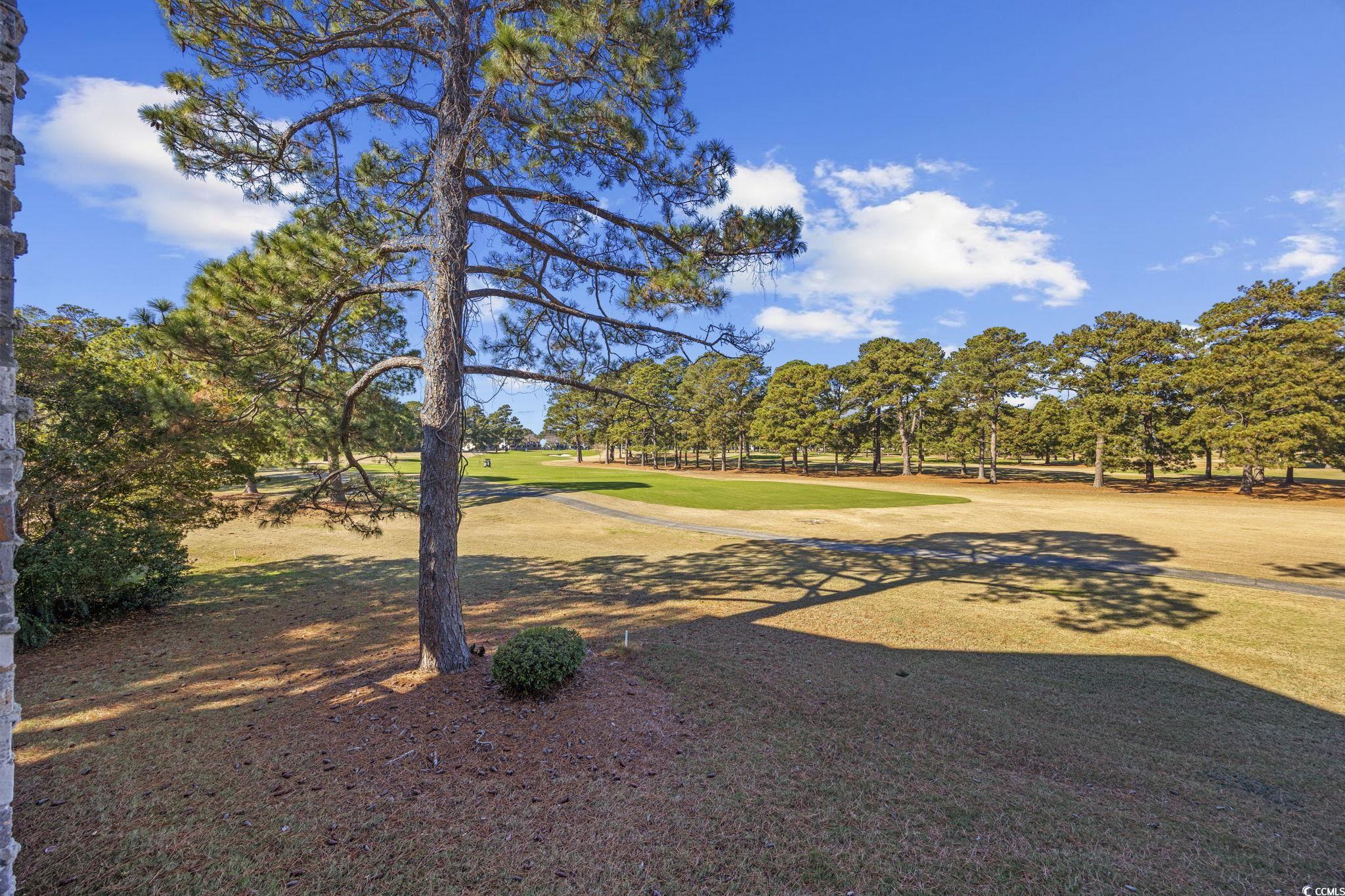 4627 Wild Iris Drive, Unit 202 Myrtle Beach, SC 29577 - Photo 23 of 39