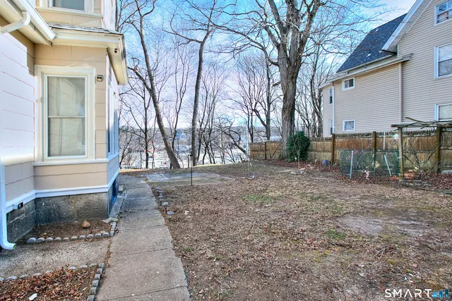 a view of a yard with plants and trees