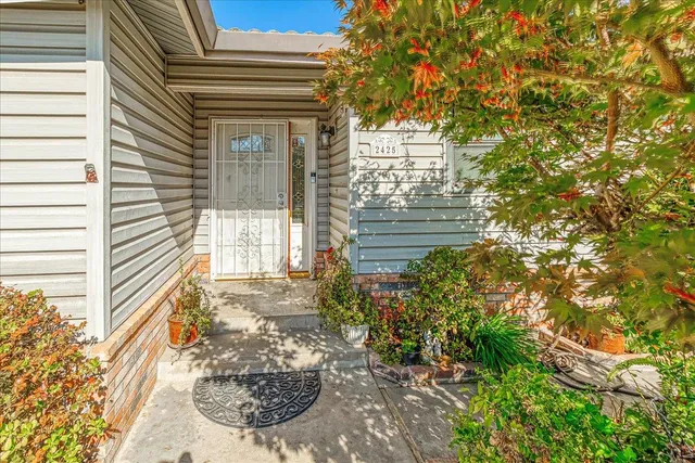 a view of a door of the house with a tree