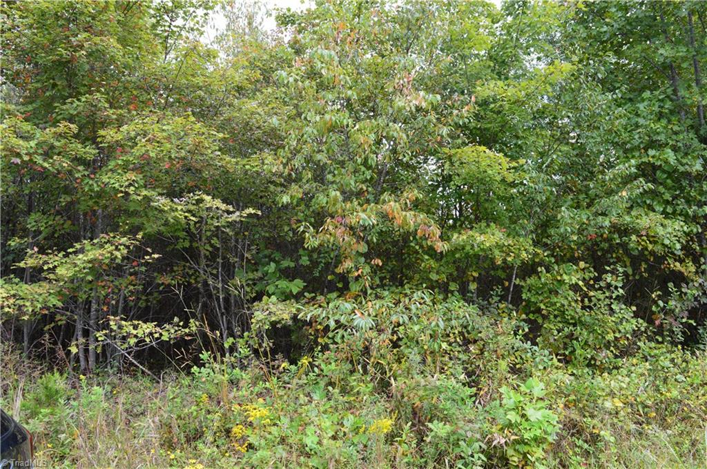 0 Bennett Road Stoneville, NC 27048 - Photo 3 of 9