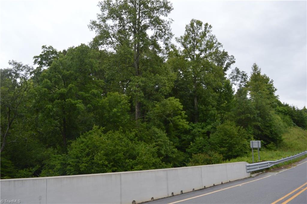 0 Bennett Road Stoneville, NC 27048 - Photo 8 of 9