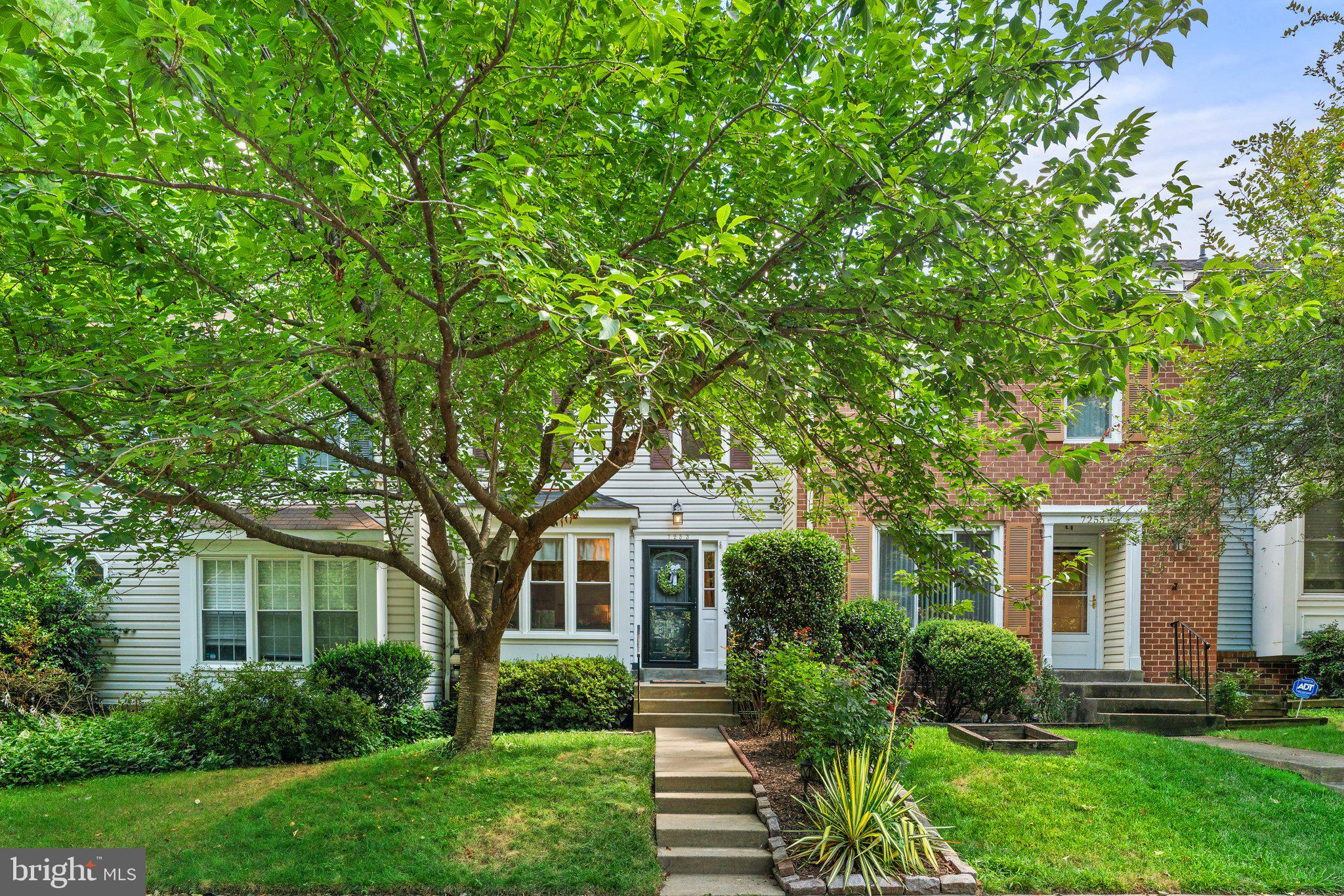 Beautiful shade tree and rose bushes